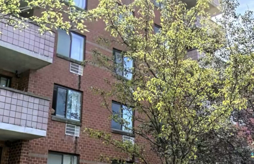 6608 austin st